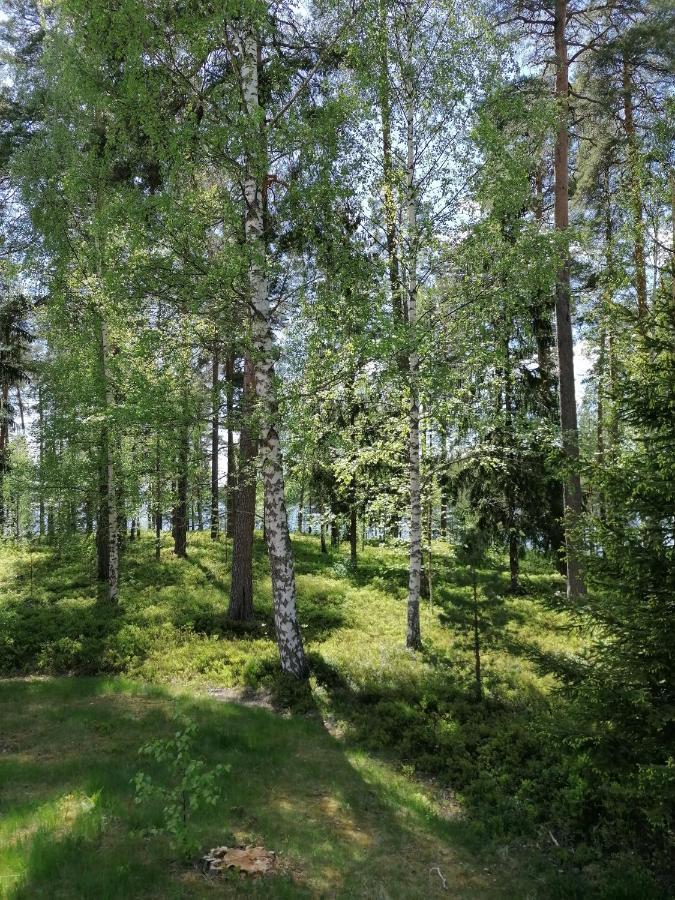 Bed and Breakfast Birgittagarden - Gaesthem - Birgittasystrarna Фалун Екстер'єр фото
