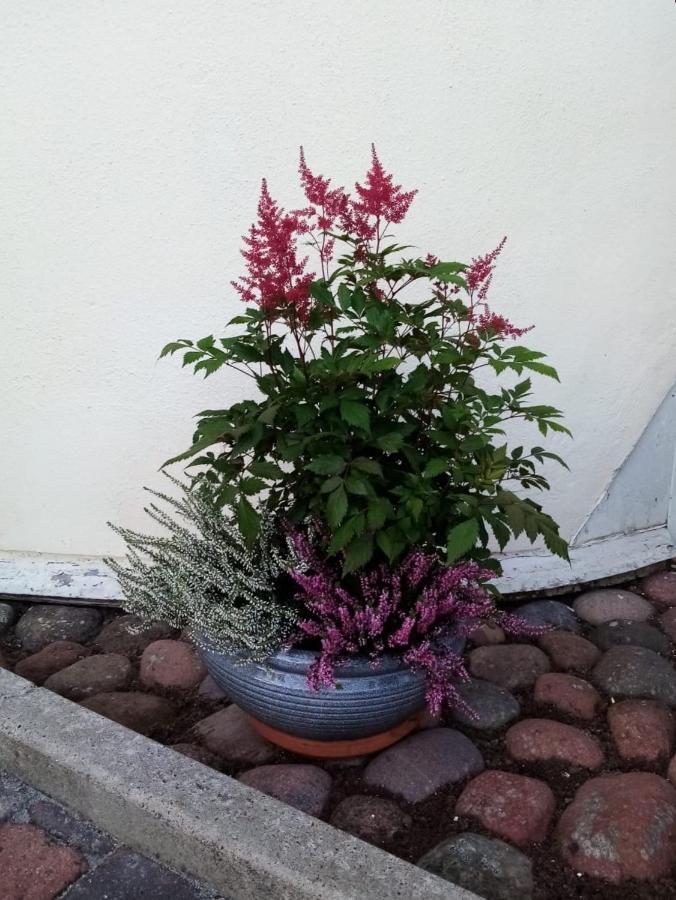 Bed and Breakfast Birgittagarden - Gaesthem - Birgittasystrarna Фалун Екстер'єр фото